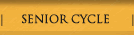Senior Cycle